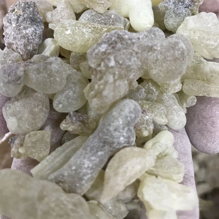 Arabian Yemen Top Grade Frankincense Resin
